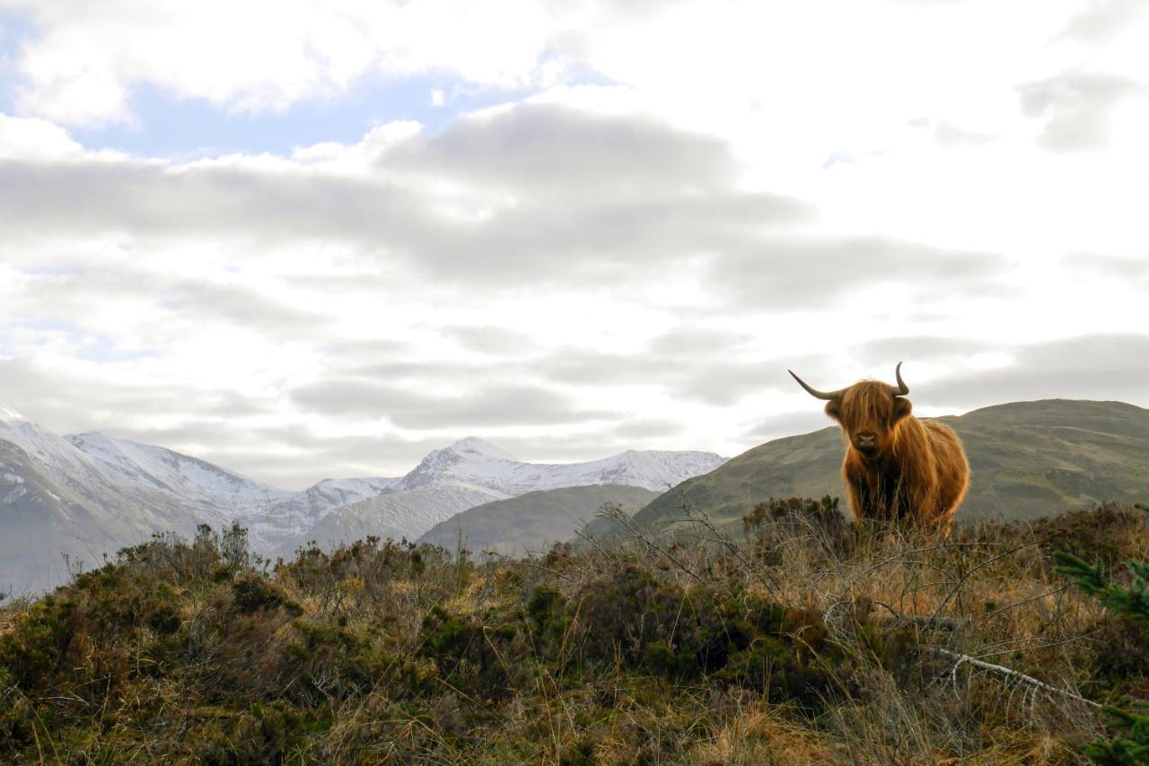 Glen Nevis Holidays Форт Уилям Екстериор снимка