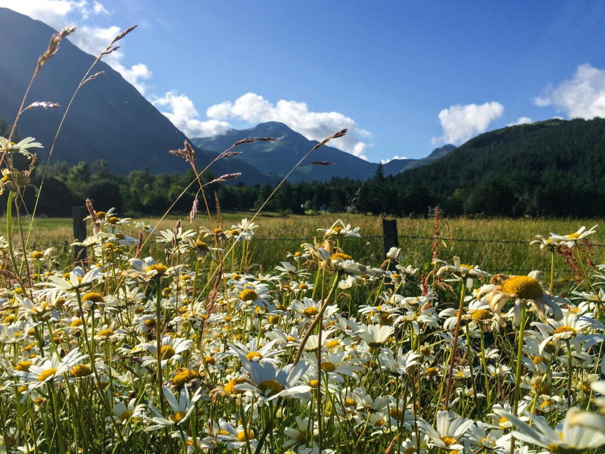 Glen Nevis Holidays Форт Уилям Екстериор снимка